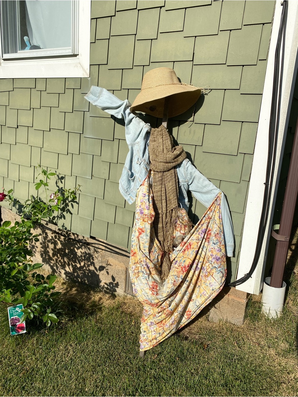 Ms. Scarecrow, dress, jacket scarf and hat!